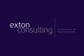 exton_consulting_consultor